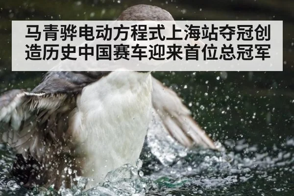 马青骅电动方程式上海站夺冠创造历史中国赛车迎来首位总冠军
